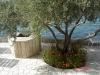 Villa Falcon - Brist